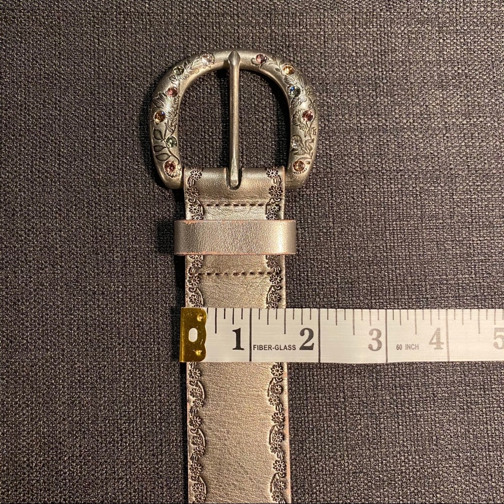 Fossil Belt - Picture 7 of 8